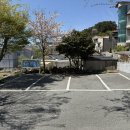 오리나무 | 금정산성 오리고기 맛집 포구나무집 오리백숙 솔직후기