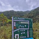 봉명로 | [애견동반 캠핑장] 횡성 자작자작 캠핑장 / 8kg 강아지 카라반 이용 후기