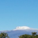 제주에 산다 이미지