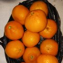 서울이용소 이미지