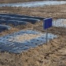 은현농장 이미지