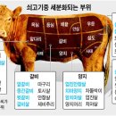 쇠고기,돼지고기 부위별 정보 이미지