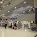 블루망고 이미지