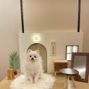 로띠에식당