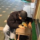 깔꼼 애견미용실 | 서대문구 홍은동 홍제동 중형견 애견미용 강아지미용 ‘리프레쉬독‘ 직접 다녀온 후기