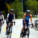 비나리펜션 이미지