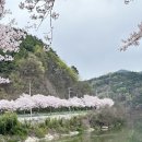 대평면 자전거도로 이미지