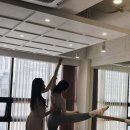 수지 이미지