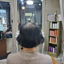 [대구 지산동 미용실] 살롱드메이페어 :: 메이페어위그로 자신감을 되찾았어요
