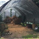 창2리 경로당 이미지