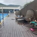 도야거제가족호텔 이미지