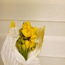 타로심리상담사 2급 자격과정 이미지