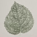 색연필 아트 이미지