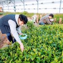 화성 한옥팬션 싱싱하우스 이미지