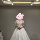 바이루시 | W11. 제이바이루시 드레스 가봉 후기👗(아이웨딩 패키지)