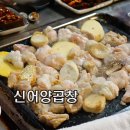 신어양곱창