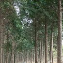 천지황찜질방 이미지