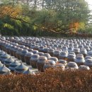 서일식당 이미지