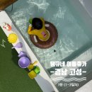 새콤보드 달콤그림책 스피치 | [여행] 경남 고성 4박 5일 여름 휴가 1탄 / 공룡박물관, 고성시장, 공룡발자국화석지, 고성,숙 (with...