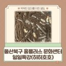 울산북구 홈플러스 문화센터 일일 특강 히히호호 후기/ 가격