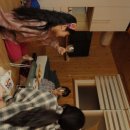 월오포레스트 | [청주] 주말 10만원 초반 갓성비 청주 월오동 촌캉스 숙소 추천 - 월오포레스트 내돈내산 후기