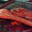 삼바리덕천점 이미지