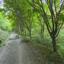 물무산행복숲둘레길 이미지