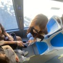 종강기념! 다시 찾아온 SNU in Spain 후기 2탄