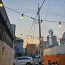 천안자연농원 이미지