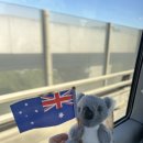 블루마운틴 | 호주 시드니여행 시드니주 동물원 블루마운틴투어 줌줌투어 후기