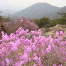 행복의 동산 이미지