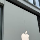 프로 인물 제품 사진 촬영 | 애플아이폰 17 프로 직접 보고 왔어요! 홍대 애플스토어 방문 후기 + 주차 정보