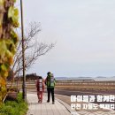 큰말 해수욕장 공중화장실 | 아이들과 함께하기 좋았던 자월도 백패킹 정보 및 후기(큰말 해수욕장)