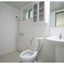 주중초교 이미지