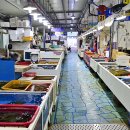 삼천포전통수산시장 이미지