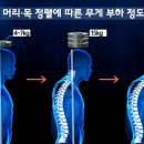 스페셜무브먼트 Daum카페