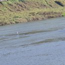 소리의섬 이미지