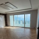 서호동-31 이미지