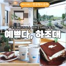돌고래 | 예쁘다 하조대 | 양양 베이커리 카페 · 수제 돌고래 티라미수 후기