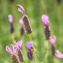 울산 장생포고래박물관 이미지