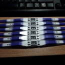 하이냥이 이미지