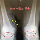 연화