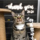 감성손글씨 & 영문캘리 이미지