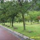 벽계관광지 이미지