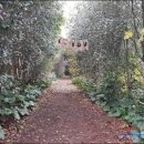 다미진횟집 이미지