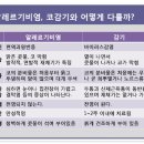 얼굴변형과 키성장저해의 원인-구강호흡/광주성장클리닉 이미지