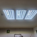 수정한양 | 대구 LED 거실등 교체 / 북구 한양수정아파트 콘크리트 슬라브 천장에 전등 설치후기