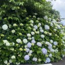 동광단지경로당 이미지