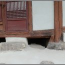 첨모당 이미지