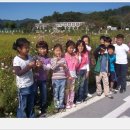 지사초등학교 이미지